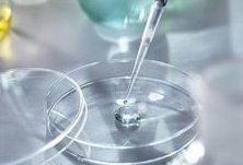 HPV感染对试管婴儿成功率的影响，挑战与希望并存