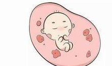 国外做试管婴儿多少钱？会很贵吗？